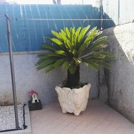 House Garden Gasthuis Civitavecchia